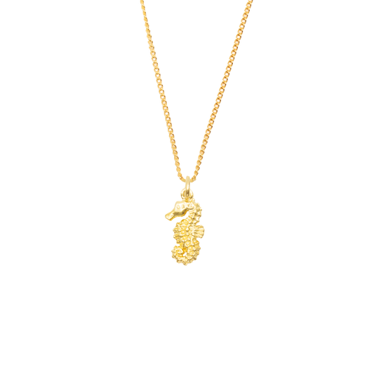 Gold seahorse pendant necklace from House of Atlas, featuring a delicate seahorse charm on a fine gold chain, symbolizing grace and resilience.